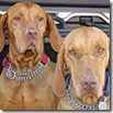 CIOKY E KIRA